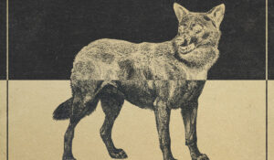 The Rural Alberta Advantage – Falling Apart