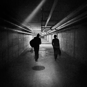 Flamingos Flamingos, Jungle Bands 2024